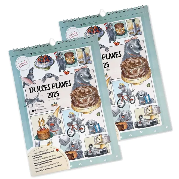 Calendario - Planner Dulces Planes 2025 Set X 2